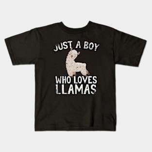 Just A Boy Who Loves Llamas Kids T-Shirt